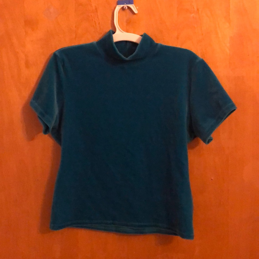 A rendezvous short sleeve turtleneck velvet top